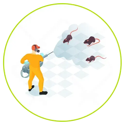 Dubai’s trusted group for Pest Control Service Rodent Control